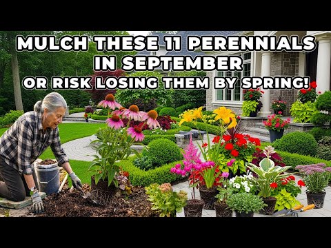 Mulch These 11 Perennials in September—Or Risk Losing Them by Spring!