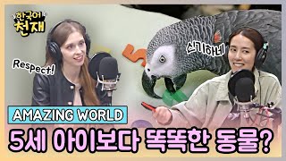 신비한 동물의 세계 🦄 The most fantastic beasts TOP 5 🐾 | Amazing World