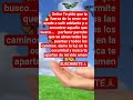 Dios te pido que nos cubras con tu amor 🙏 ❤️