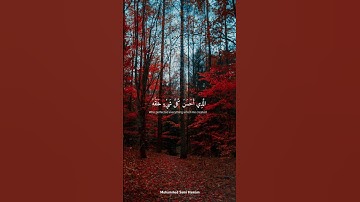 قال تعالى: {الَّذِي أَحْسَنَ كُلَّ شَيْءٍ خَلَقَهُ} من سورة السجدة للقارئ إسلام صبحي #اكسبلور #قران