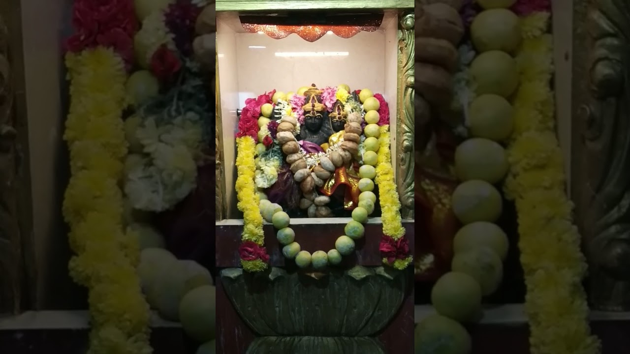 10.01.26 தேய்பிறை அஷ்டமி. ஶ்ரீ ஸ்வர்ண ஆகர்ஷண பைரவர் அபிஷேகம் அலங்காரம் மற்றும் தீபாராதனை.