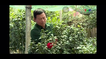 Phóng sự giới thiệu Liên minh hợp tác xã