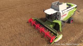 Moisson d'une orge d'hiver avec des moissonneuses Claas par la SARL Naulet de Bocé