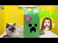 Bolsa sorpresa de Creeper de Minecraft  | fiestas temáticas