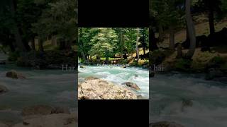 Mela Dilon Ka | aesthetic lyrics video | #nature #songlyrics #uditnarayan #broken#onesidelovestatus