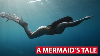A Mermaids Tale On The Red Dot Cna Insider