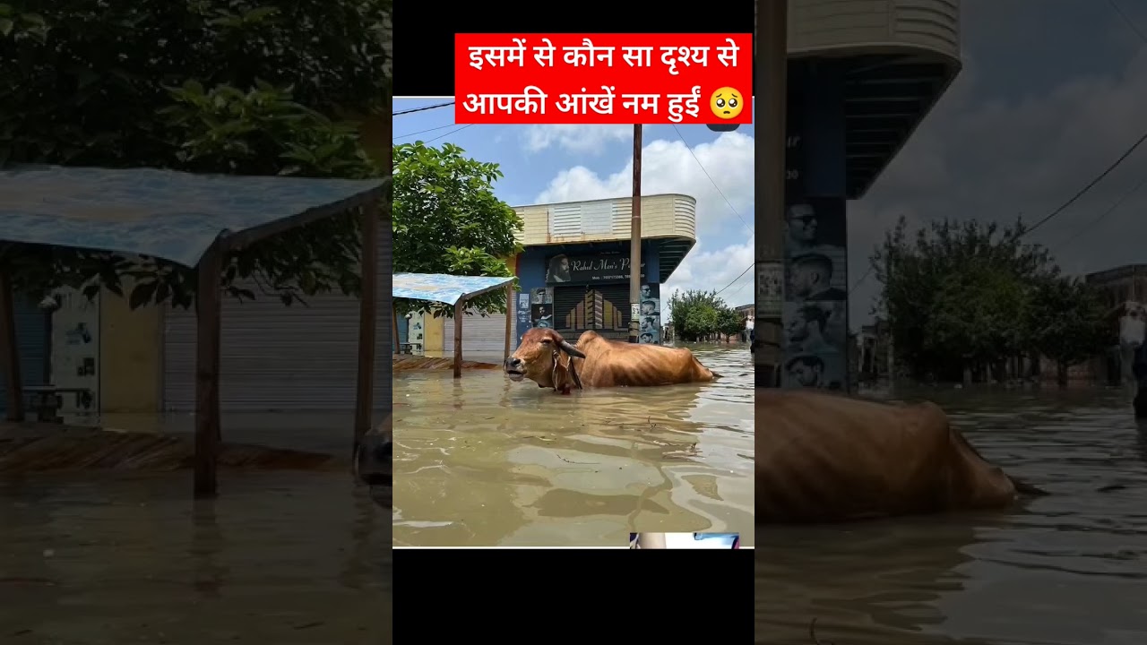 yamuna flood video 