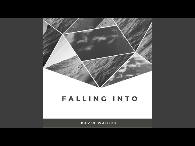 David Wahler - Falling Into