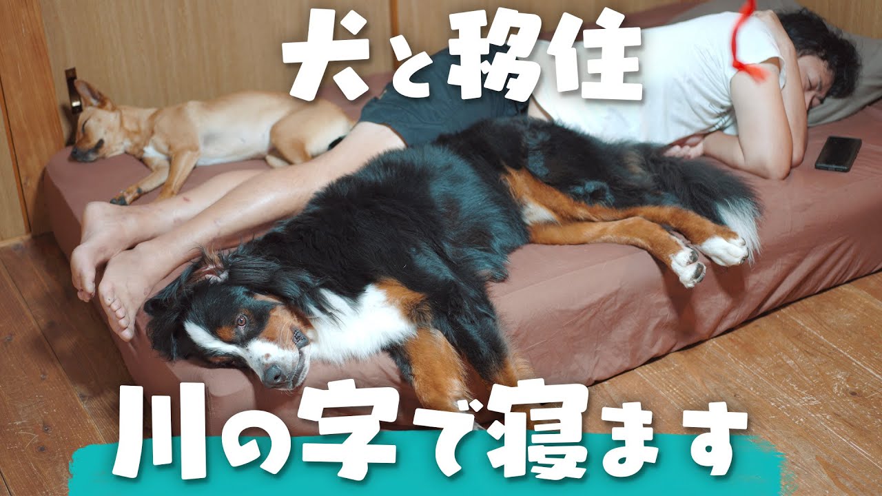川遊びしてスイカ食べたら寝るだけの夏の一日、性格が違いすぎるテオとヨー - YouTube
