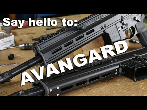 Avangard AR Upper!