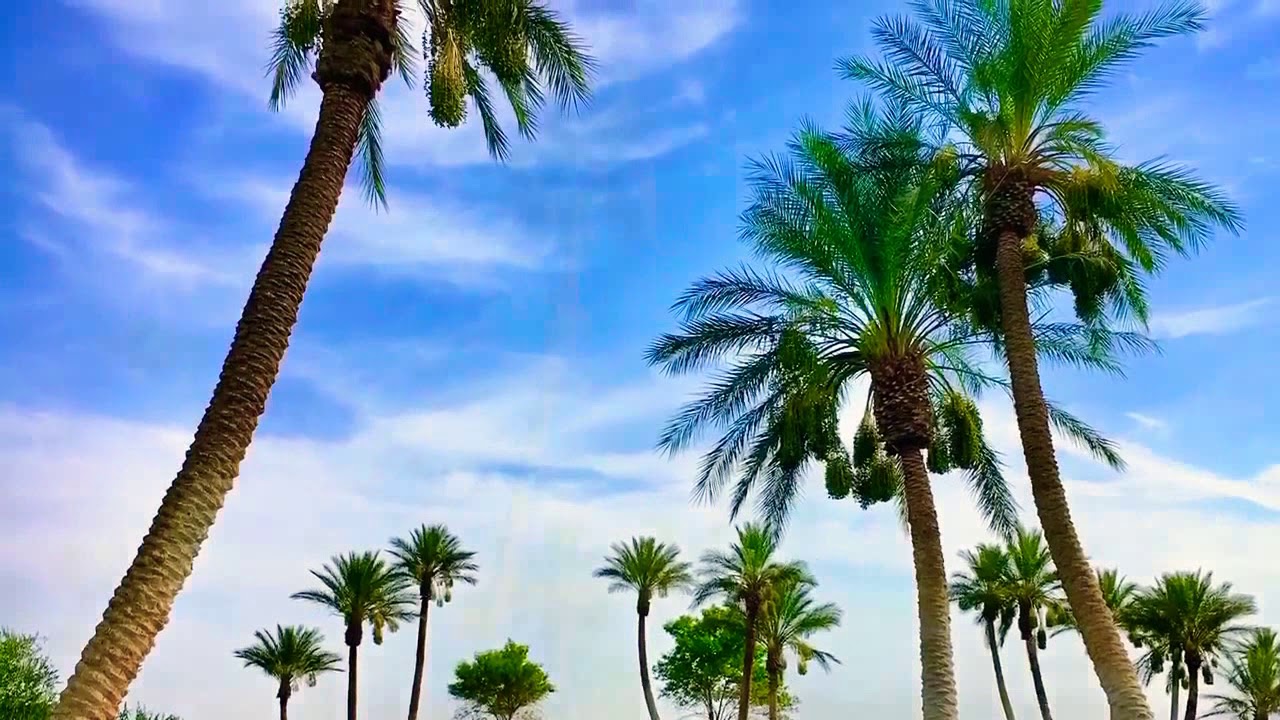 Natural pictures 🌴🌴🌴🌱 - YouTube