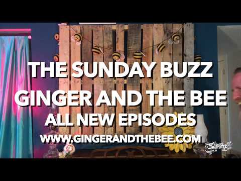 Ginger and The