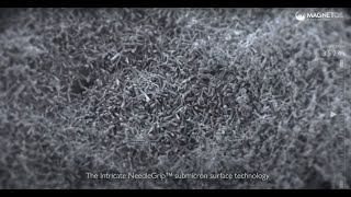 MagnetOs Granule under an ultra-high resolution scanning electron microscope (SEM)