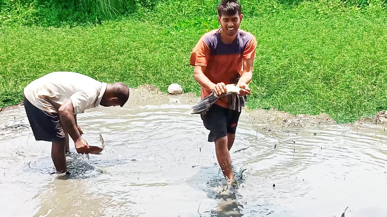 Amazing Boys Catching Big Varieties Fish In Mud Water || Hand Fishing ...
