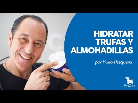 COMO HIDRATAR TRUFAS Y ALMOHADILLAS