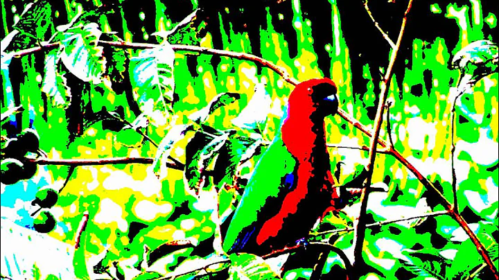 SLAVES-Hate me for the Truth