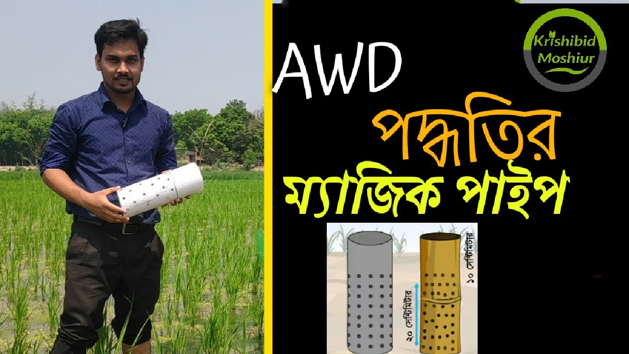Awd Project Rice AWD পদ্ধতির ম্যাজিক পাইপ। Alternate Wetting and Drying (AWD)- Using ...