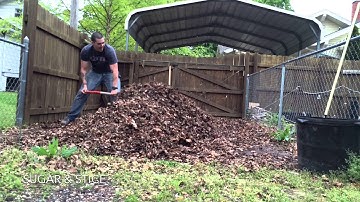 Time Lapse- Leaf Composting