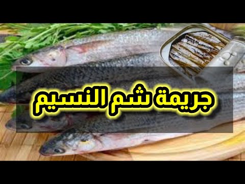 التسمم السجقي او الممباري  تسمم الفسيخ والرنجة والمعلبات