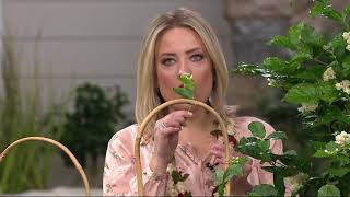 Roberta's 2-piece Sweetly Scented Philippine Jasmine on QVC