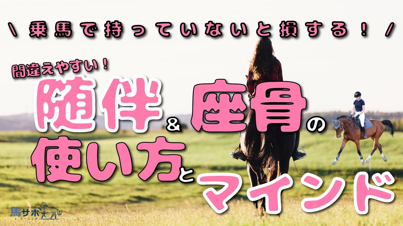 【乗馬で持ってないと損する】随伴＆座骨の使い方とマインド