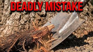 Stop Killing Your Oak Tree! (The Root Mistake)