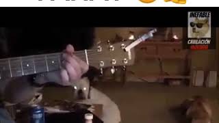 Ну че сказазать идеальнаЯ соБАка Ну че сказазать идеальнаЯ соБАка