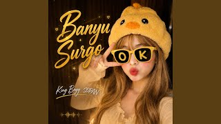 Banyu Surgo