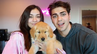 Surprising Mia With Dream Dog