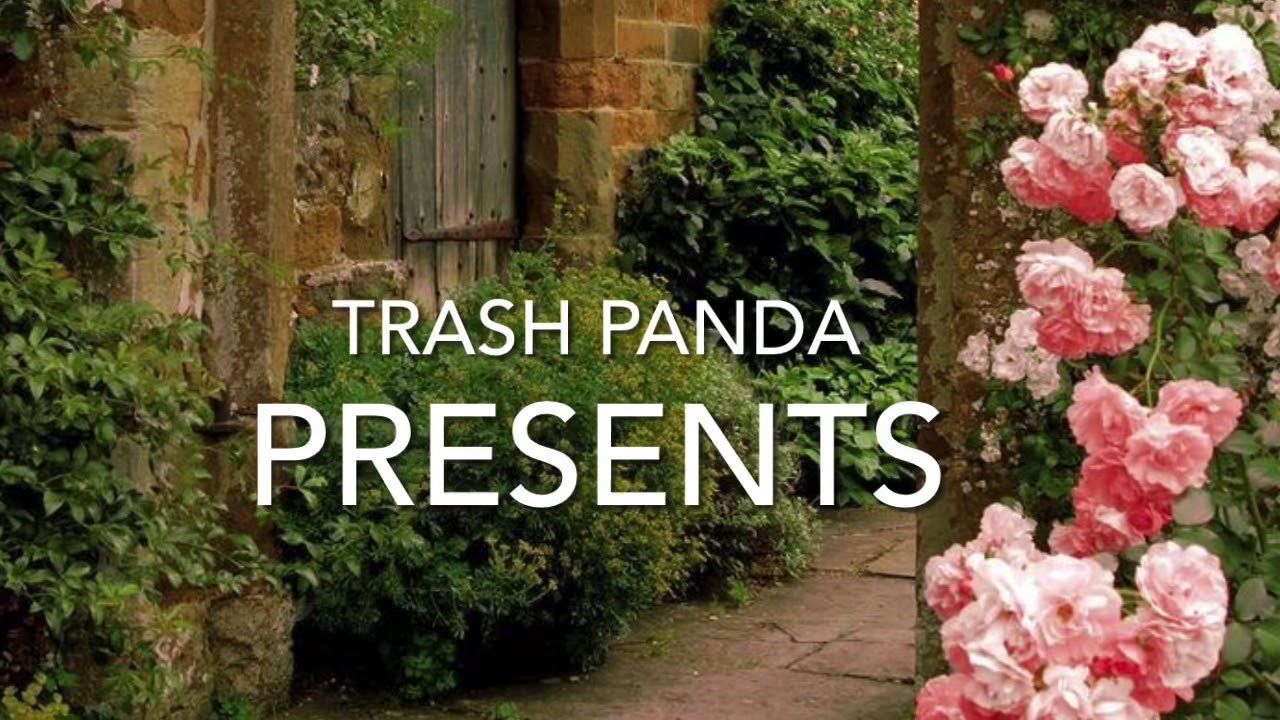 World sustainable energy day 🌍