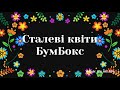 БумБокс Сталеві квіти Lyrics Stalevi Kvity Steel Flowers