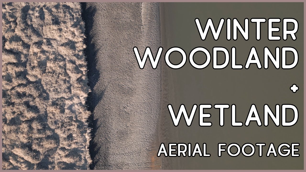 Midwest Aerial Adventure: drone footage of winter woodland and wetland + Nishnabotna River