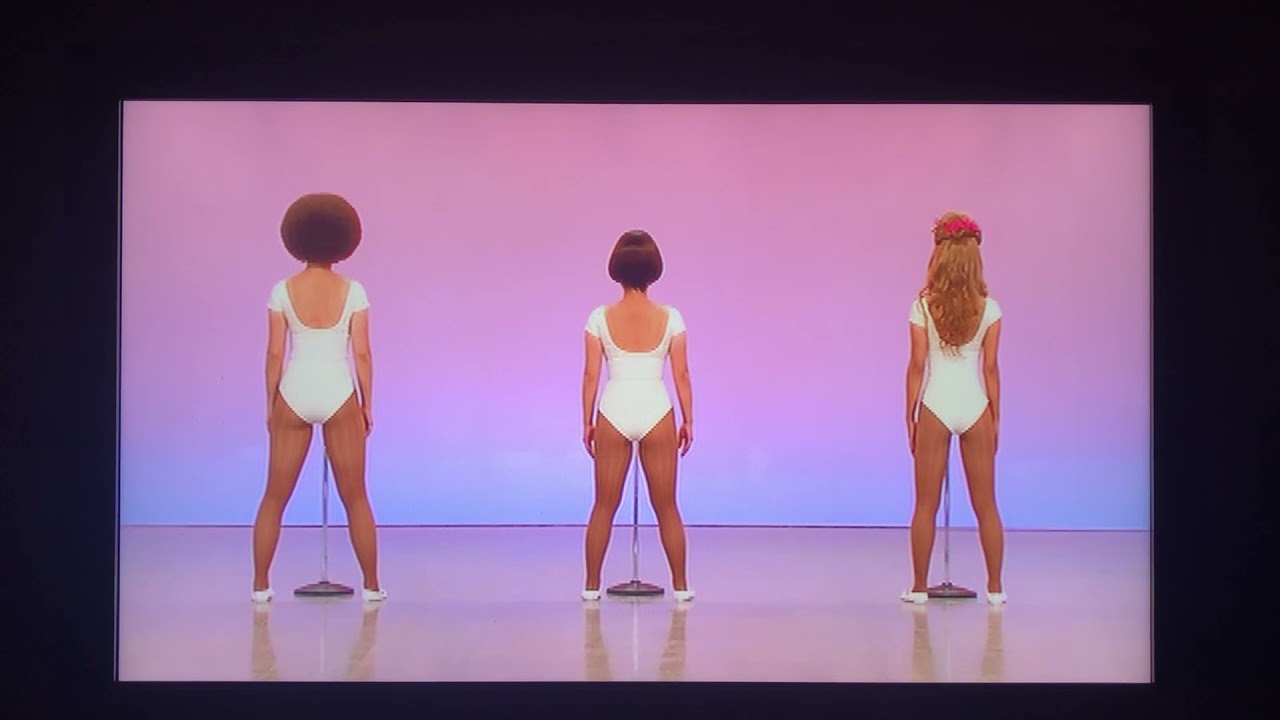 ニホンノミカタ〜ネバダカラキマシタ〜