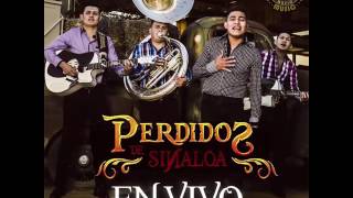 [Letra] El Gallo - Perdidos De Sinaloa (En Vivo Desde Los Mochis) chords