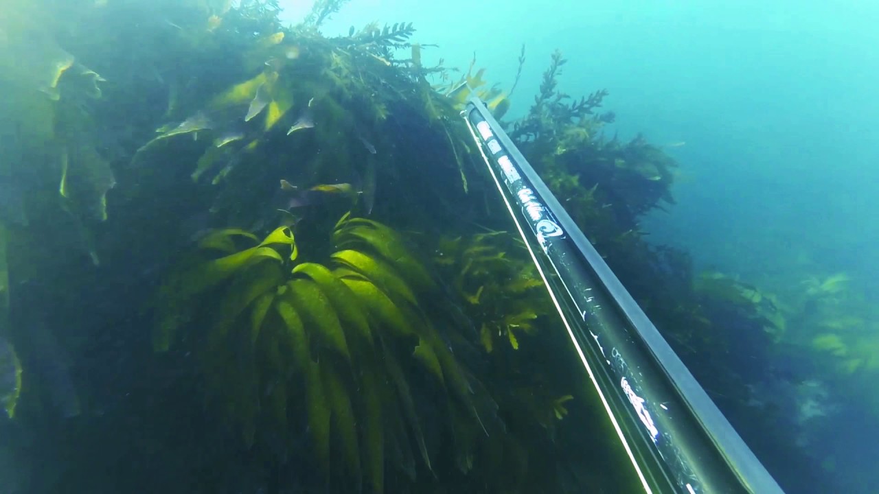 Fundamentals YouTube