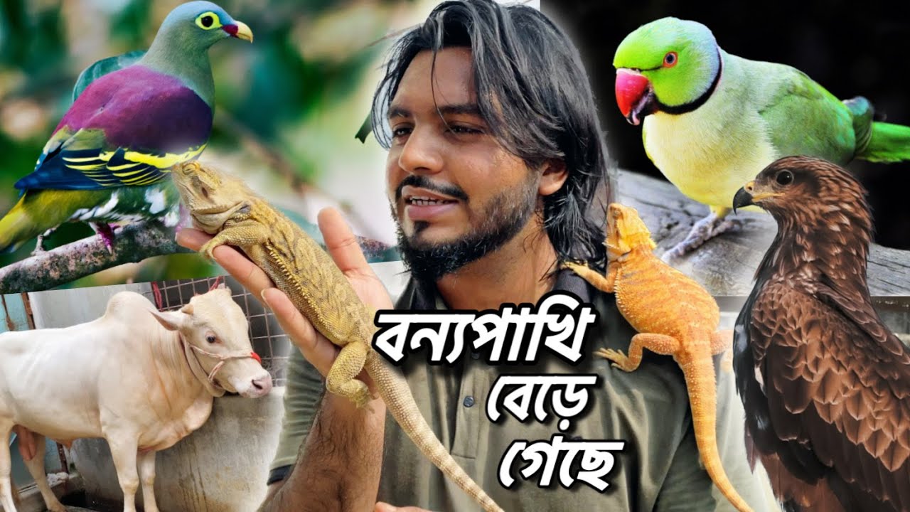 বন্যপাখি গুলার ভবিষ্যৎ কি  l