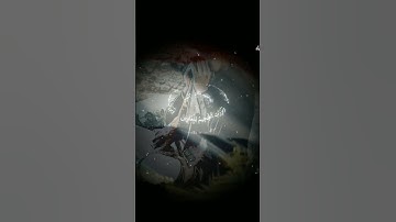 وَلَا تُخْزِنِي يَوْمَ يُبْعَثُونَ من سورة الشعراء- آية (87)