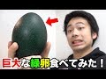 巨大で緑色な「エミューの卵」食べてみたら味がヤバかった！？