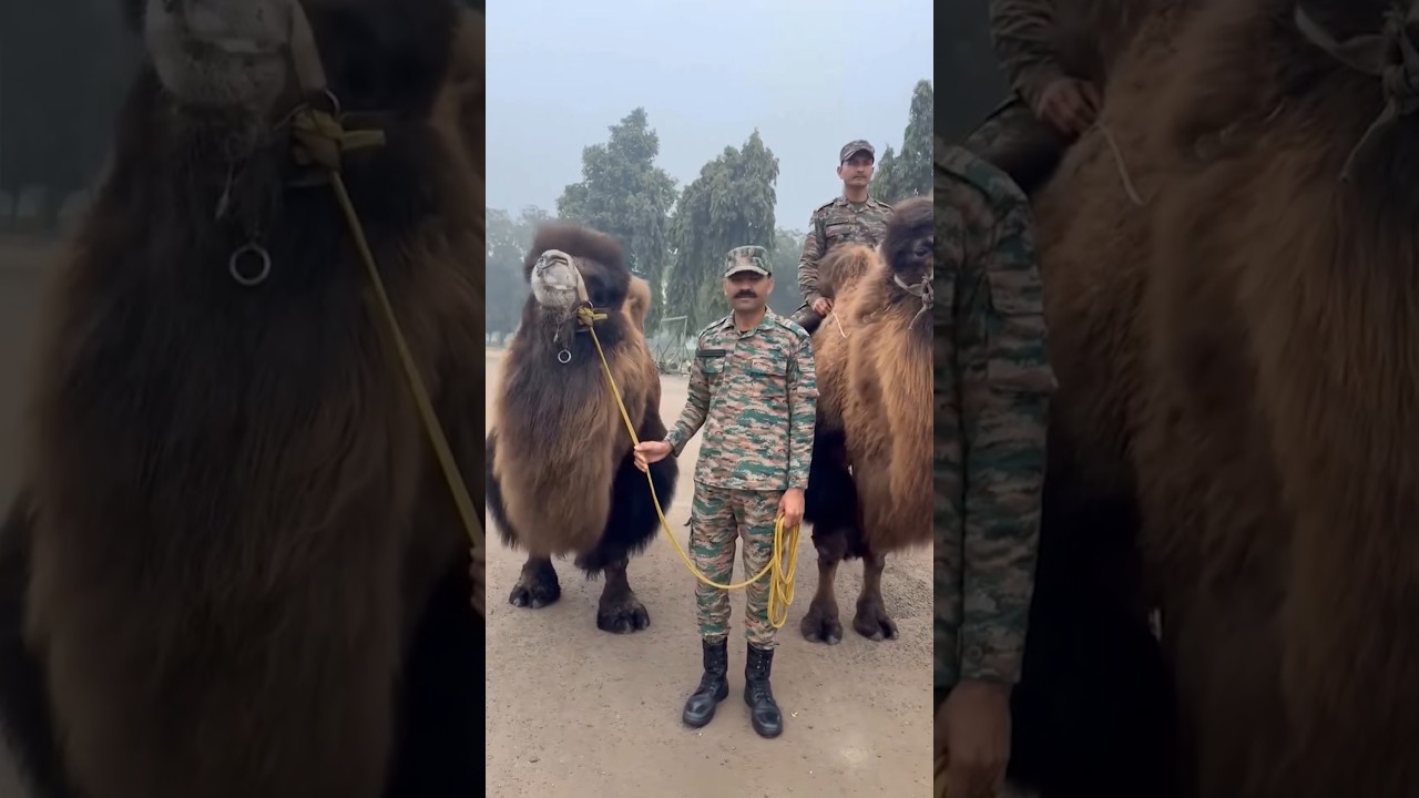 Army’s Hidden Warrior