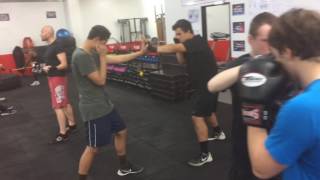Box Office Boxing Mannequin Challenge
