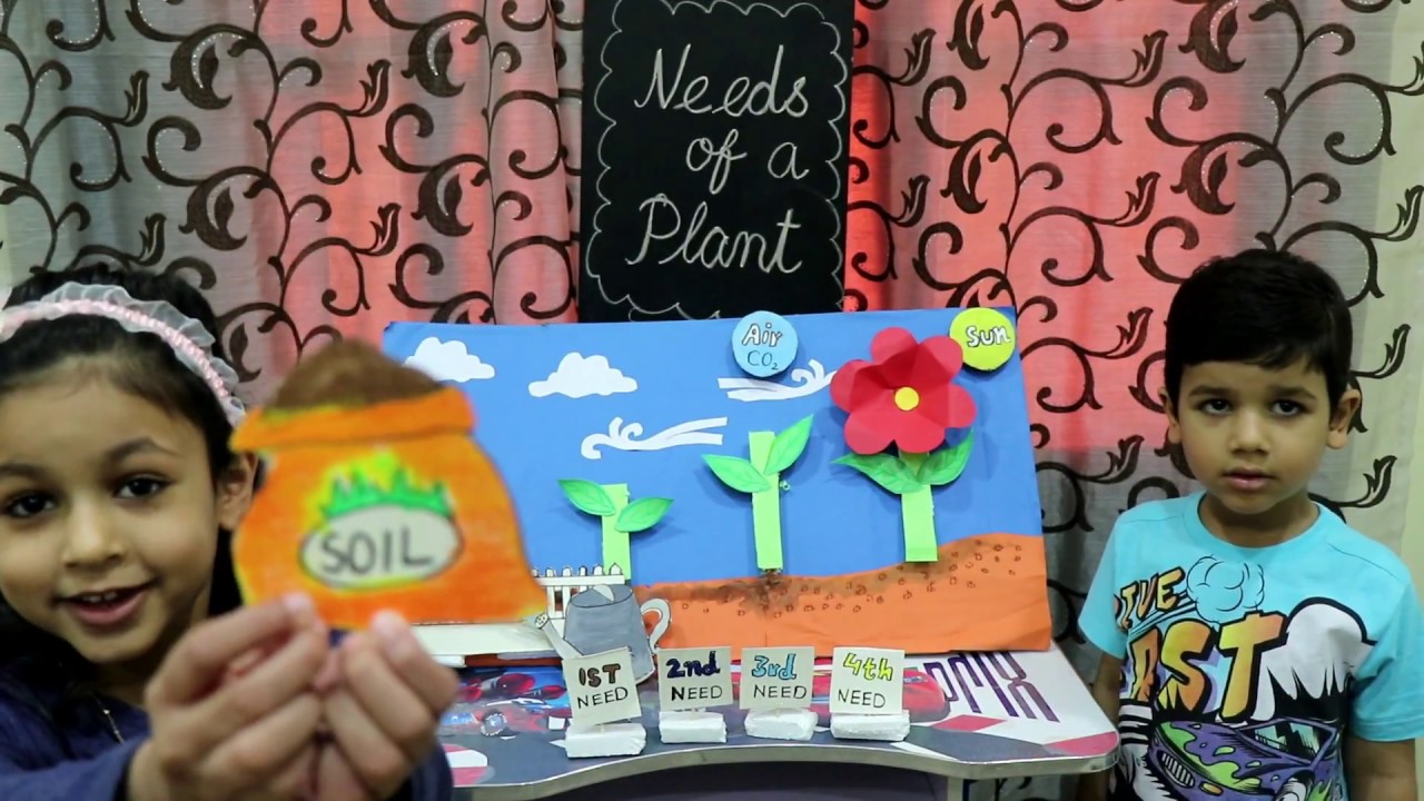 Four needs of plantThe Needs of a Plant for kidsWhat do Plants Need to Growschoolbeforeschool