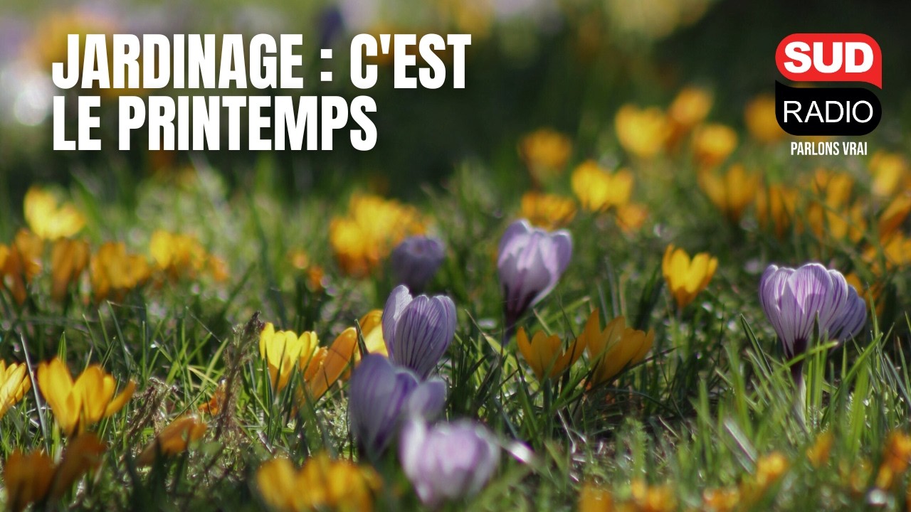 C'est le printemps : ce qu'il faut faire (et ne pas faire) dans votre jardin