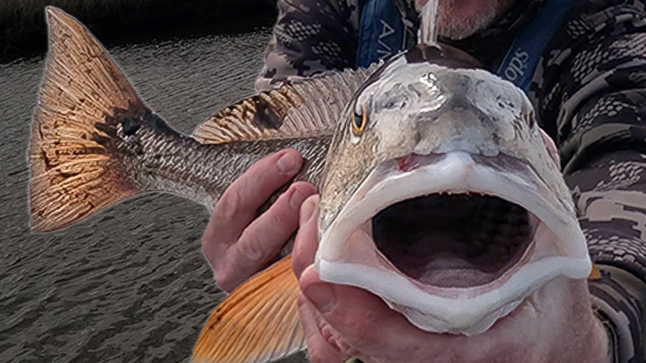 Big Negative Tide Fishing… Is It Worth It? 