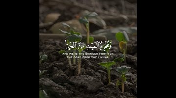 (إن الله فالقُ الحَبِ والنوى…) بصوت القارئ أحمد الشافعي
