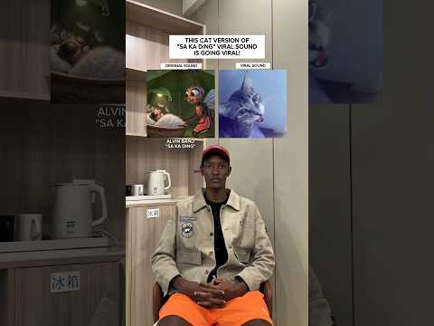 THIS CAT VERSION OF "SA KA DING" VIRAL SOUND IS GOING VIRAL! #shorts #viral #trending #sound