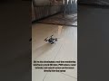 First Communication & Flight Test