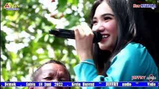 LUSIANA JELITA // PECAH SERIBU // NEW MUTIARA // JEFFRY AUDIO // ALVIN PRODUCTION