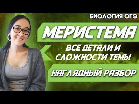 ОГЭ Биология 2021 | Латеральная меристема | Апикальная меристема | Наглядный разбор