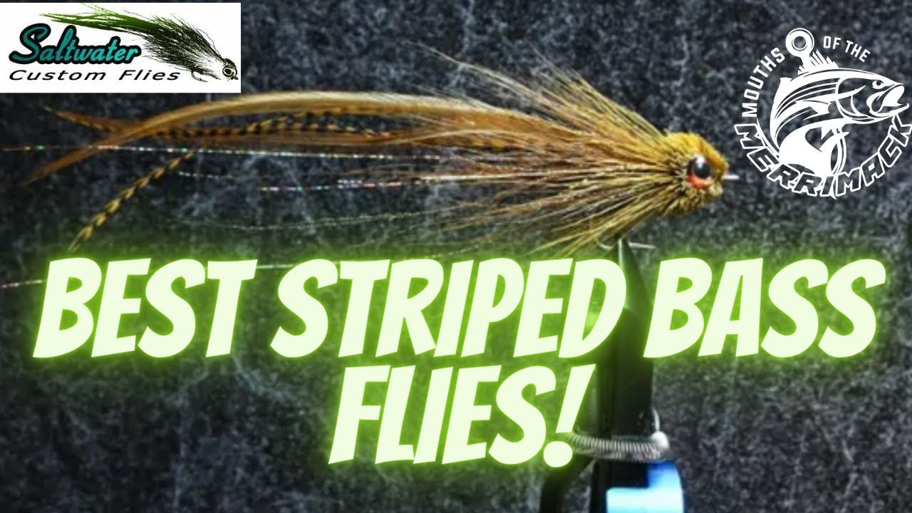 Best Striped Bass Fly Patterns w/ Joe Calcavecchia of Custom