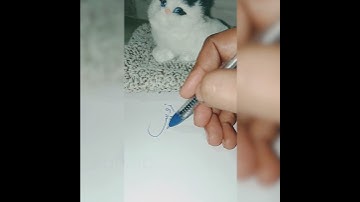 #Zohaib#Signature#Urdu name#Short🙂👍💯